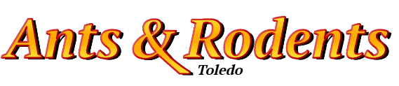 Toledo Ant Exterminator & Rodent Control Company Logo